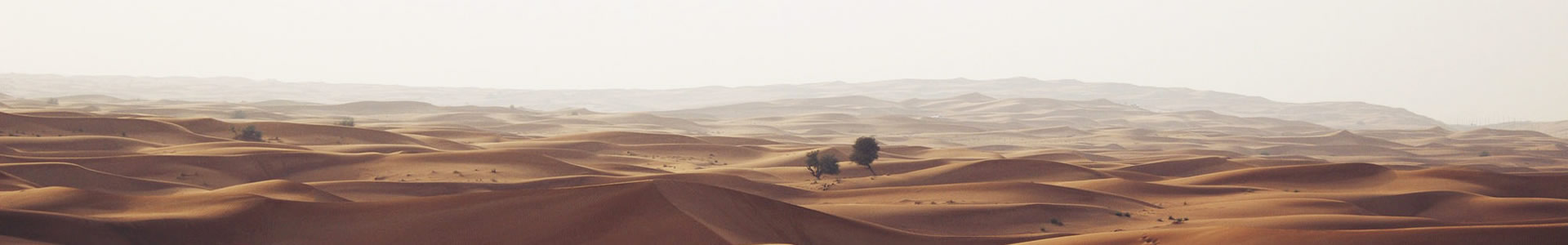 ֻ޹˾